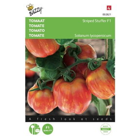 Tomaten Striped Stuffer F1