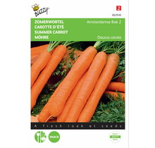 Zomerwortel Amsterdamse Bak zaden