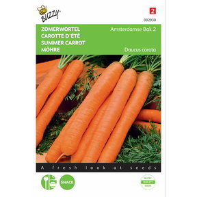 Zomerwortel Amsterdamse Bak