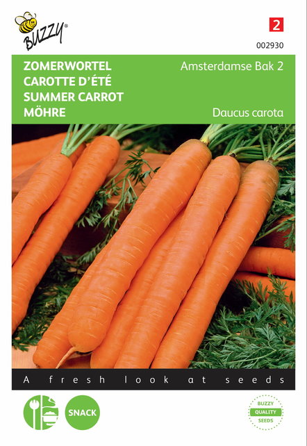 Zomerwortel Amsterdamse Bak zaden