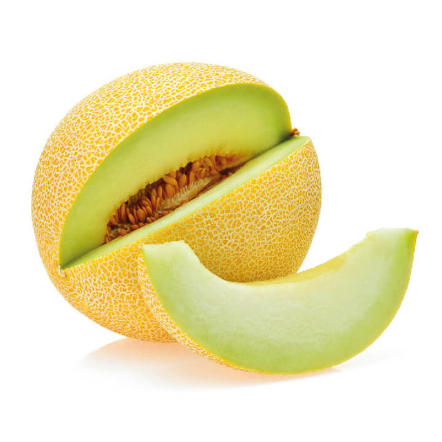 Galia Meloen planten (8 planten)