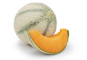 Cantaloupe Meloen planten kopen