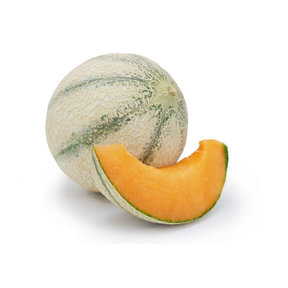 Cantaloupe meloen (8 planten)