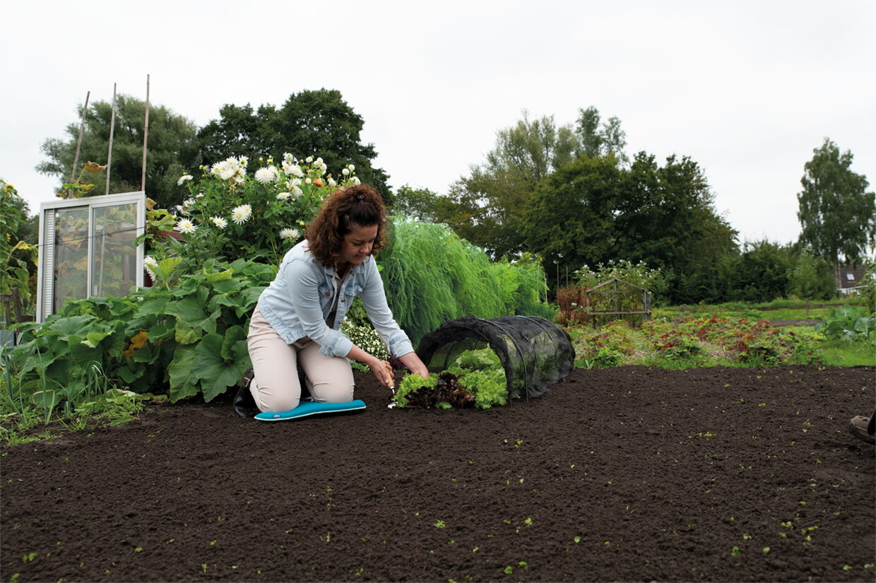 Relaxdays Kweektunnel 7 M Tuintunnel Vliesdoek Met Bogen Plantentunnel Moestuin 595972438