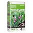 Moestuinplant Buzzy Groenbemester Wikke 150 gram