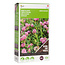 Moestuinplant Buzzy Groenbemester Rode klaver 150 gram