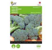 Broccoli Marathon F1