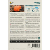 Eetbare pompoen Oranje Hartvorm Eetbare pompoen Oranje Hartvorm