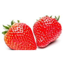 Aardbeien plant lambada