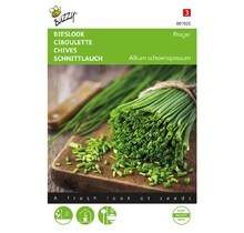 Bieslook kruidenzaden