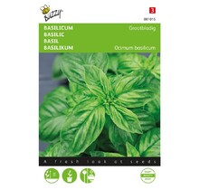 Grove basilicum kruidenzaden