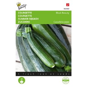 Courgette Black Beauty zaden
