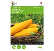 Courgette Gold Rush F1 zaden
