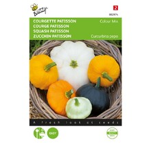 Courgette Patisson Colour mix zaden