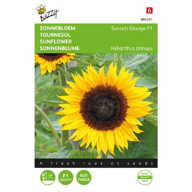 Zonnebloem - Sunrich Orange F1