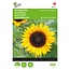Moestuinplant Buzzy Zonnebloem - Sunrich Orange F1