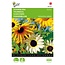 Moestuinplant Buzzy Zonnebloem - Helianthus gemengd