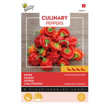 Buzzy® Scotch Bonnet Red Peperzaden – Zeer Hete Caribische Chili (4/5) – Voor Kas & Pot