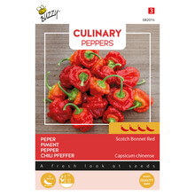 Scotch Bonnet Red Peperzaden – Zeer Hete Caribische Chili