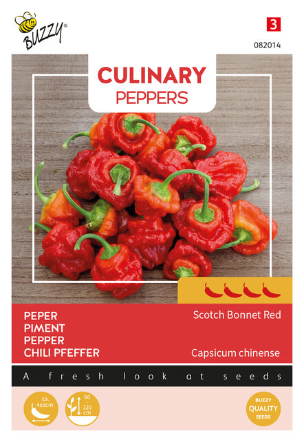 Buzzy® Scotch Bonnet Red Peperzaden – Zeer Hete Caribische Chili (4/5) – Voor Kas & Pot