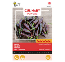 Buzzy® Dorset Naga Black Peperzaden – Extreem Hete Chili 5/5 – Zeldzame Zwarte Variant