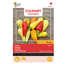 Caloro Peperzaden – Mexicaanse Chili 2/5