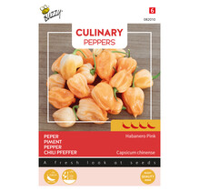 Habanero Pink Peperzaden – Zeer Hete Chili 4/5 – Elegante Roze Habanero