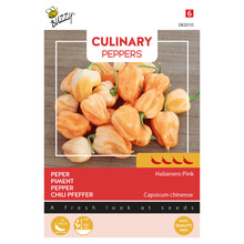 Habanero Pink Peperzaden – Zeer Hete Chili 4/5 – Elegante Roze Habanero