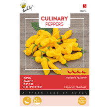 Madame Jeanette Peperzaden – Zeer Hete Surinaamse Chili 4/5