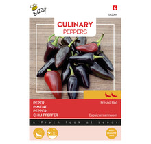 Papecchia Peperzaden – Ronde Italiaanse Chili 2/5 – Mild en Aromatisch