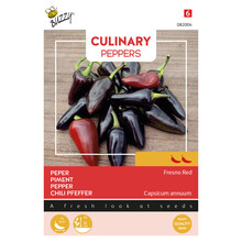 Papecchia Peperzaden – Ronde Italiaanse Chili 2/5