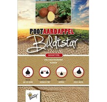 Pootaardappel Bildtstar 1kg kopen – Late Rode Aardappel | Buzzy Pootgoed