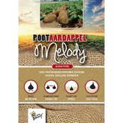 Pootaardappel Melody 1kg kopen – Vastkokend & Kookaardappel | Buzzy Pootgoed