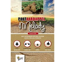Pootaardappel Melody 1kg kopen – Vastkokend & Kookaardappel | Buzzy Pootgoed