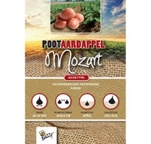 Pootaardappel Mozart 1kg kopen – Rode Middellate Aardappel | Buzzy Pootgoed