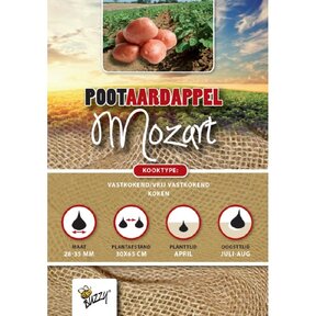 Pootaardappel Mozart 1kg kopen – Rode Middellate Aardappel | Buzzy Pootgoed