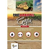 Pootaardappel Agria 1kg kopen – Late Gele Vaste Aardappel | Buzzy Pootgoed