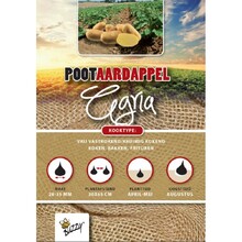Pootaardappel Agria 1kg kopen – Late Gele Vaste Aardappel | Buzzy Pootgoed