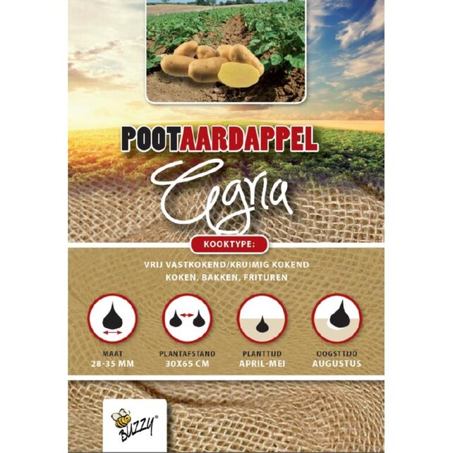 Pootaardappel Agria 1kg kopen – Late Gele Vaste Aardappel | Buzzy Pootgoed
