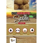 Biologische Pootaardappel Bio Sevilla 1kg kopen – Vroege Bloemige Aardappel | Buzzy Pootgoed
