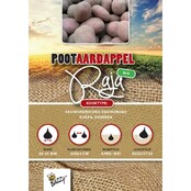 Biologische Pootaardappel Bio Raja / Alouette 1kg kopen – Middellate Roodschillige Aardappel | Buzzy Pootgoed