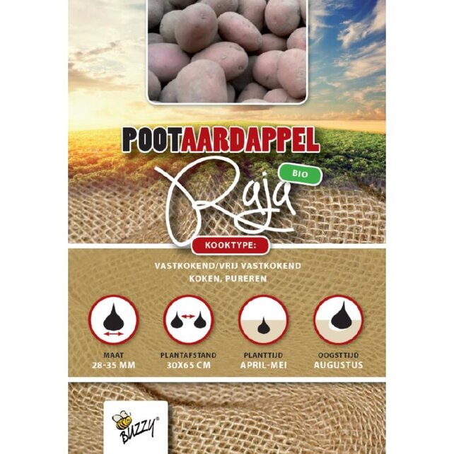 Biologische Pootaardappel Bio Raja / Alouette 1kg kopen – Middellate Roodschillige Aardappel | Buzzy Pootgoed