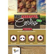 Biologische Pootaardappel Bio Carolus 1kg kopen – Kruimige Geelschillige Aardappel | Buzzy Pootgoed