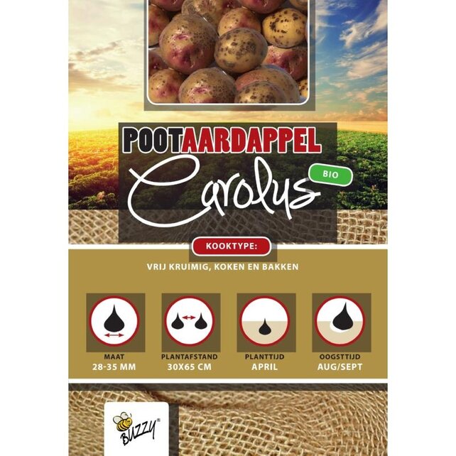 Biologische Pootaardappel Bio Carolus 1kg kopen – Kruimige Geelschillige Aardappel | Buzzy Pootgoed