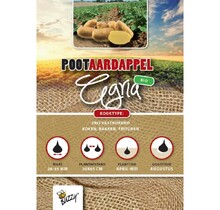 Biologische Pootaardappel Bio Twister 1kg kopen – Vaste Licht Bloemige Aardappel | Buzzy Pootgoed