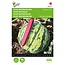 Moestuinplant Buzzy Mini-Watermeloen Tigrimini F1 kopen – Snelgroeiende Kleine Watermeloen | Buzzy Pootgoed