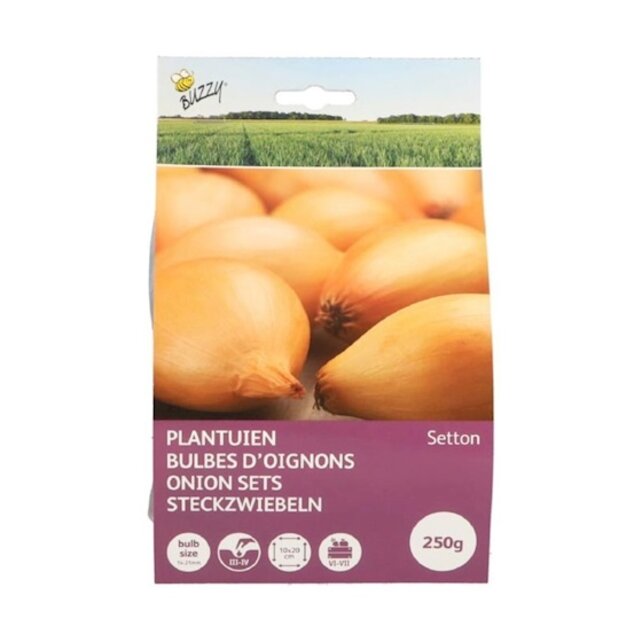Plantuien Setton 250g kopen – Buzzy Pootgoed | Hoge Opbrengst Uien