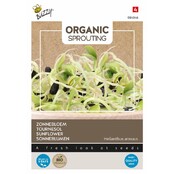 Buzzy® Organic Sprouting Zonnebloem BIO – Kiemgroente met Nootachtige Smaak