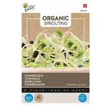 Buzzy® Organic Sprouting Zonnebloem BIO – Kiemgroente met Nootachtige Smaak