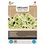 Moestuinplant Buzzy Buzzy® Organic Sprouting Zonnebloem BIO – Kiemgroente met Nootachtige Smaak